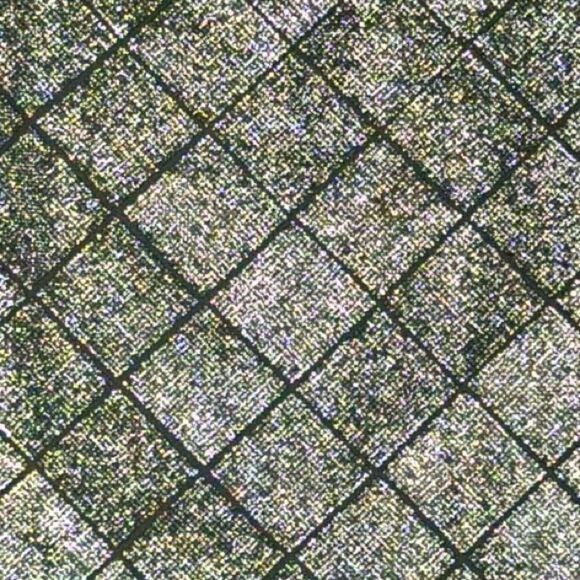 NWT Nue Gia Crystal Skirt Medium - Picture 5 of 13